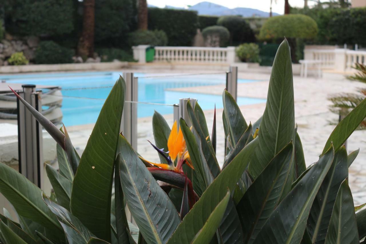 Appartement Palm D'Azur Cannes Eksteriør bilde